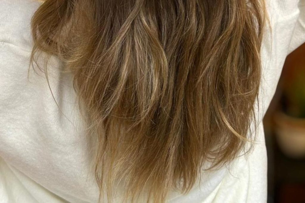 Ici, nous avons des cheveux secs qui ont subis de fortes agressions thermiques à cause des plaques à lisser